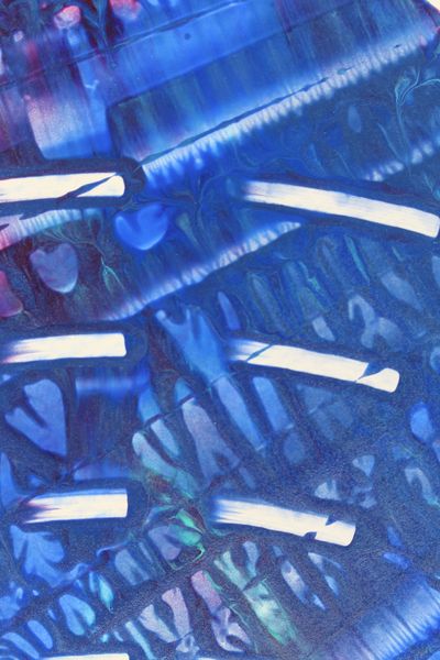 Frozen Lace, a detail from the painting Spiral Waves