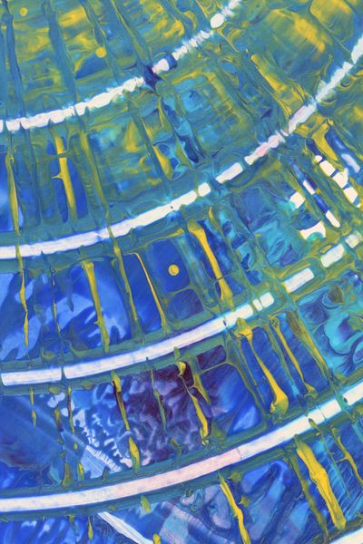 Dashed Halo, a detail from the painting Spiral Waves