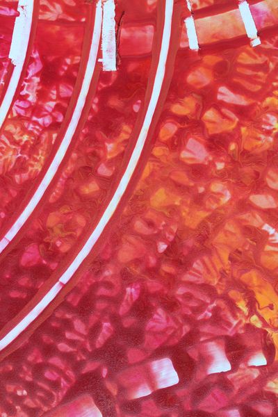 Coral Arc, a detail from the painting Radiant Echoes