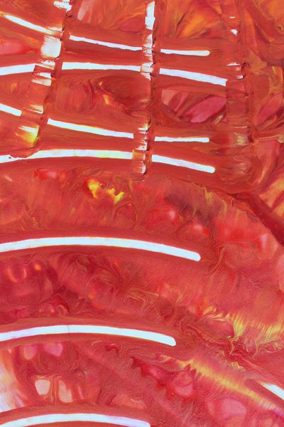 Heat Lines, a detail from the painting Radiant Echoes