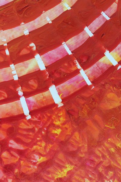 Lava Bands, a detail from the painting Radiant Echoes