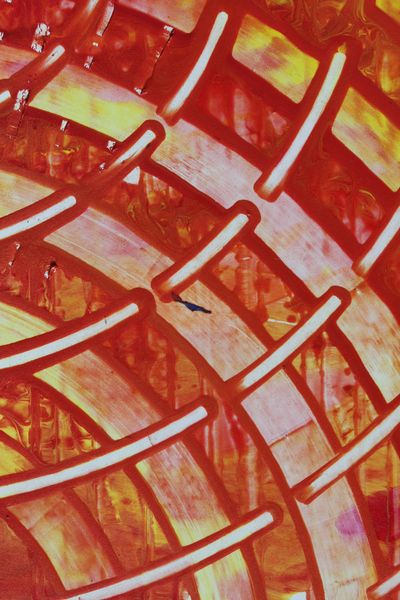 Chili Trellis, a detail from the painting Radiant Echoes