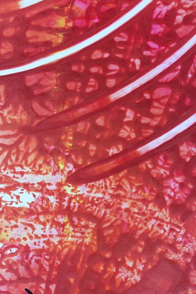 Red Lace, a detail from the painting Radiant Echoes