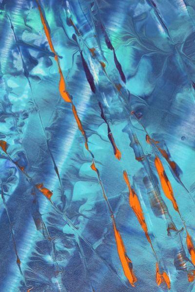 Lagoon Flames, a detail from the painting Calming Ripples
