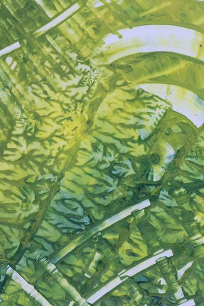 Green Arbor, a detail from the painting Nature's Pulse
