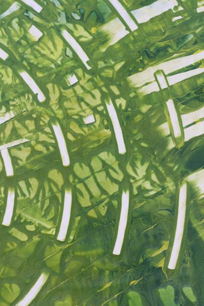 Bamboo Arcs, a detail from the painting Nature's Pulse