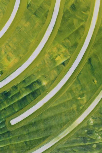 Lime Sweep, a detail from the painting Nature's Pulse