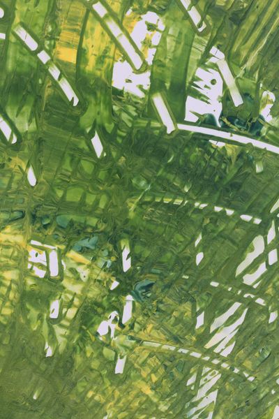 Fern Thicket, a detail from the painting Nature's Pulse