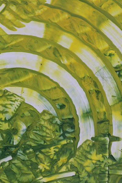 Pistachio Arch, a detail from the painting Nature's Pulse