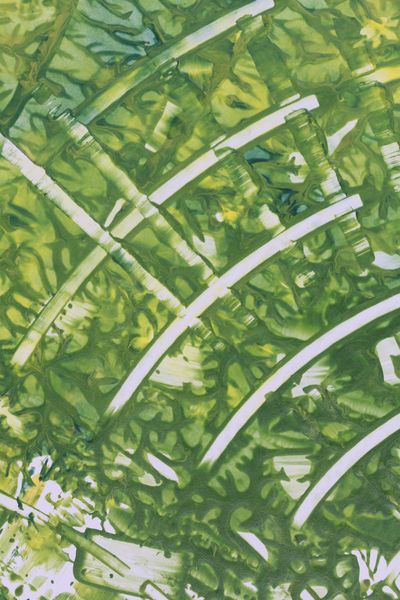 Grass Fan, a detail from the painting Nature's Pulse