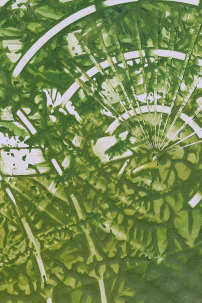 Palm Rays, a detail from the painting Nature's Pulse