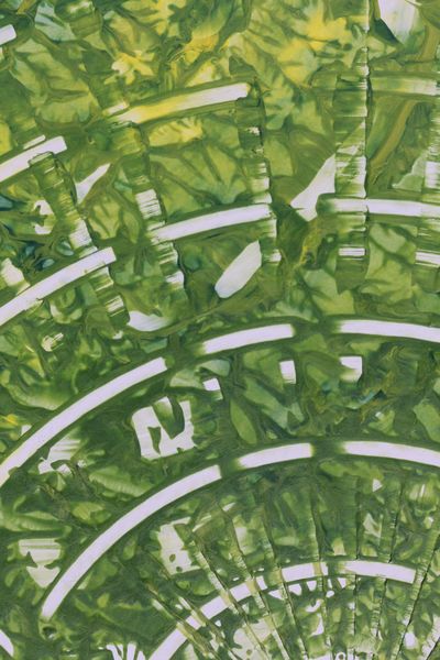Ivy Ruins, a detail from the painting Nature's Pulse