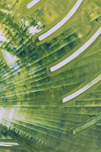 Willow Strokes, a detail from the painting Nature's Pulse