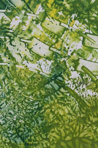 Moss Lace, a detail from the painting Nature's Pulse