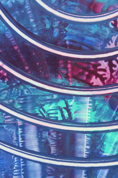 Coral Reef, a detail from the painting Dynamic Circles