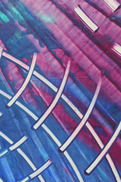Magenta Weave, a detail from the painting Dynamic Circles