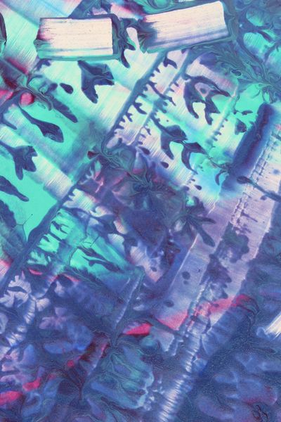 Seaweed Garden, a detail from the painting Dynamic Circles