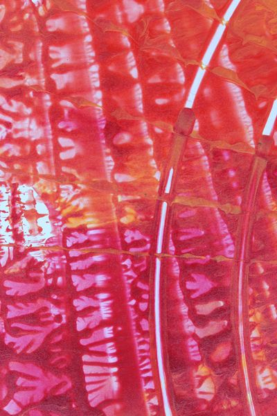 Pink Fronds, a detail from the painting Fiery Bang!