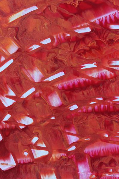 Rose Flicker, a detail from the painting Fiery Bang!