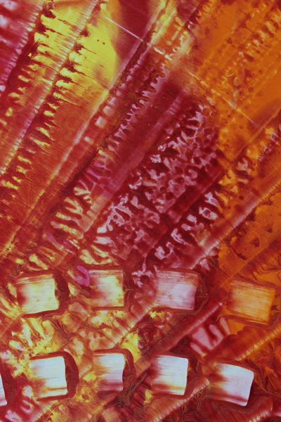Paprika Steps, a detail from the painting Fiery Bang!