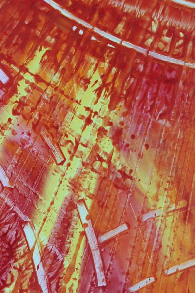 Scattered Matches, a detail from the painting Fiery Bang!