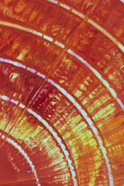 Saffron Dome, a detail from the painting Fiery Bang!